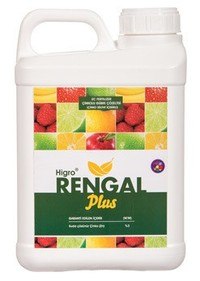 rengal-plus-2
