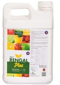 rengal-plus-3