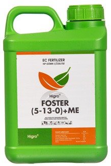 foster-2_02