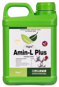 amin-l-2