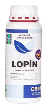 lopin