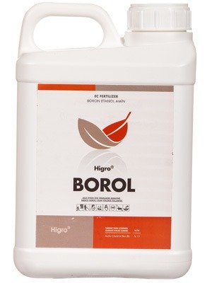 BOROL-ETHANOL-AMİN-1
