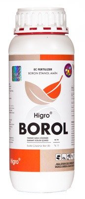 BOROL-ETHANOL-AMİN-2