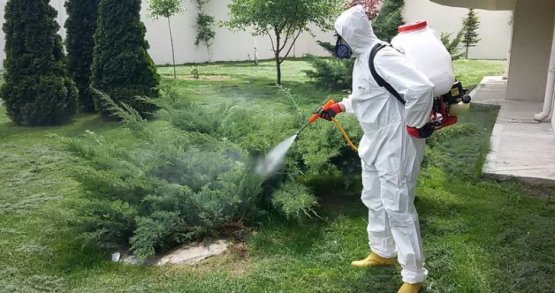 Cihangir Böcek İlaçlama - Alo Böcek İlaçlama Şirketi