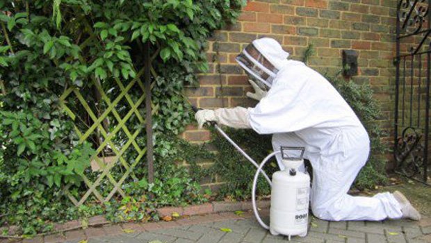 Bagcilar-Fare-Ilaclama-Firmasi