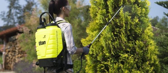 Rutubet Böceği İlaçlama - Alo Böcek İlaçlama Şirketi