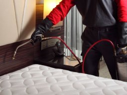 Vaniköy Böcek İlaçlama - Alo Böcek İlaçlama 0212 980 00 17