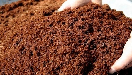 Cocopeat-2