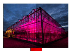 growlight