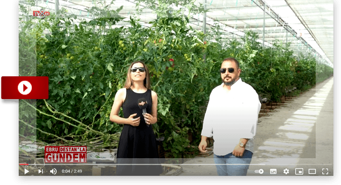 tmg-video