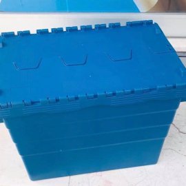 Karton Kutu Aramaya Son: Kolibox