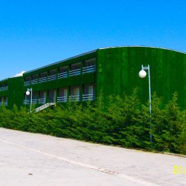 ÇİM CEPHE
