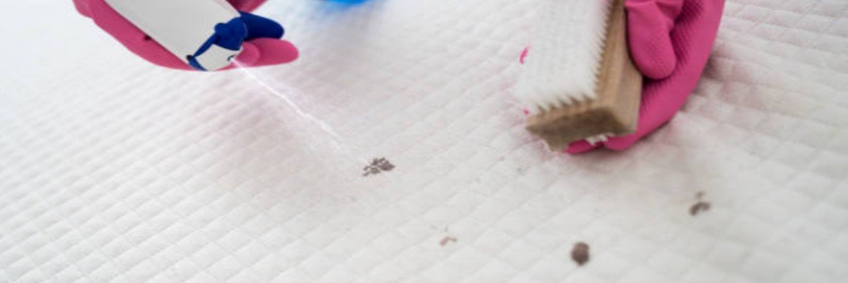 Kumsal yatak yıkama leke çıkarıcı