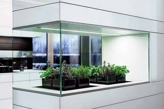 ic-mekanda-bitkiler_56b915259a36d