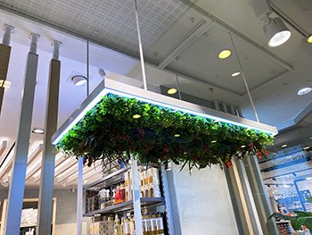 aydınlatma ürünleri