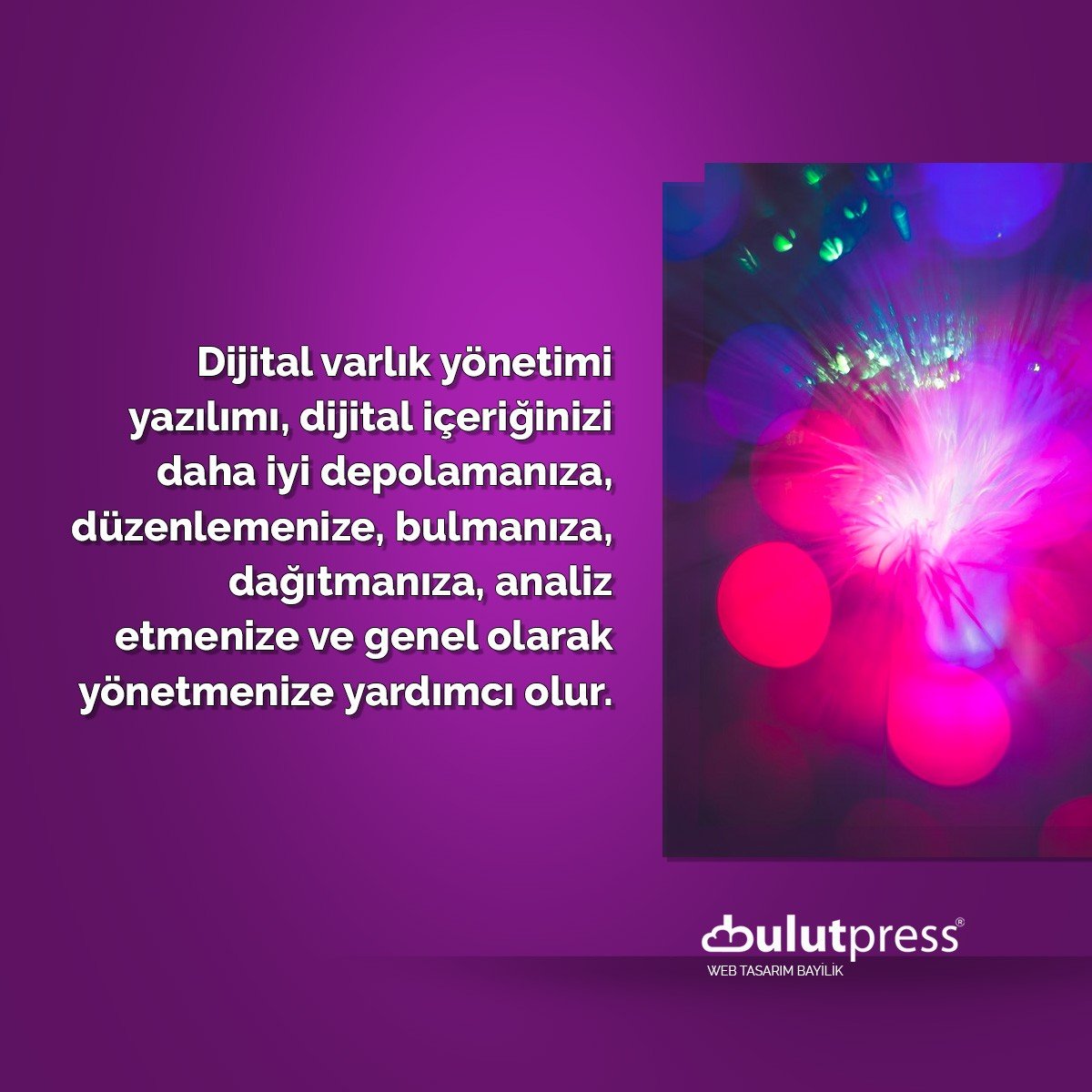 dijital varlık yönetimi yazılımı