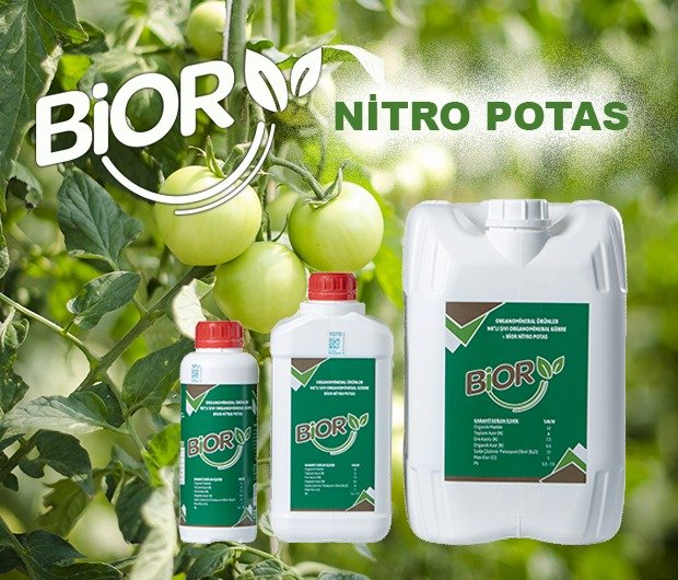 005343b6-5c2a-44f9-9d90-43fc37dad838