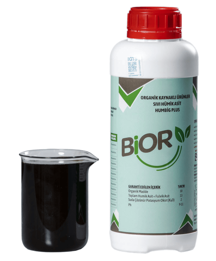 olcek - humbig plus-720