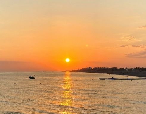 Akdeniz'de Bulunan Balık İsimleri