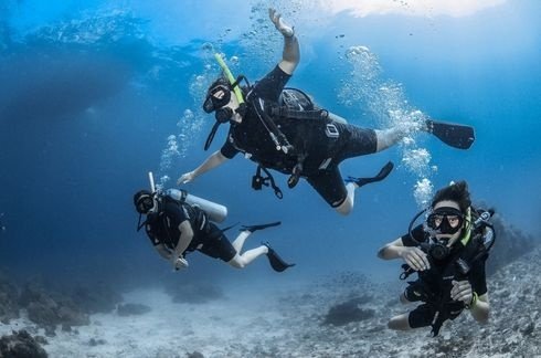 Kemer Çıkışlı Scuba Diving Ve Dalış Tur Programı