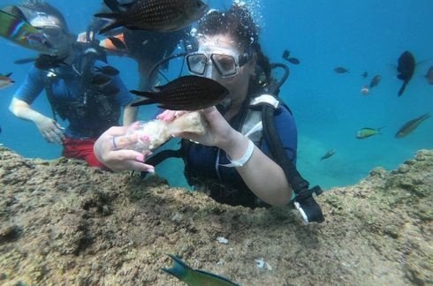 Beldibi Scuba Diving Tour And Diving Tour Program