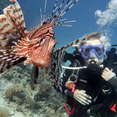 Beldibi Diving