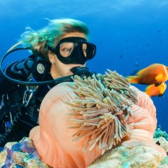 Beldibi Diving