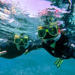 Beldibi Diving