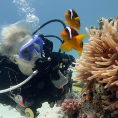 Antalya Diving