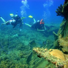 Kadriye Diving