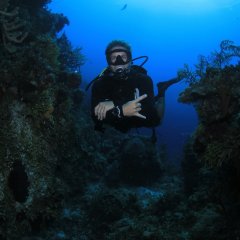 Kadriye Diving