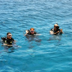 Kadriye Diving