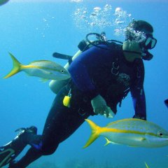Belek Diving