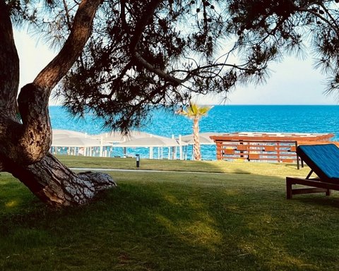 ТЕКИ̇РОВА ОБЛАСТЬ