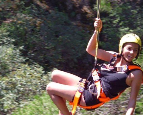 ZIPLINE