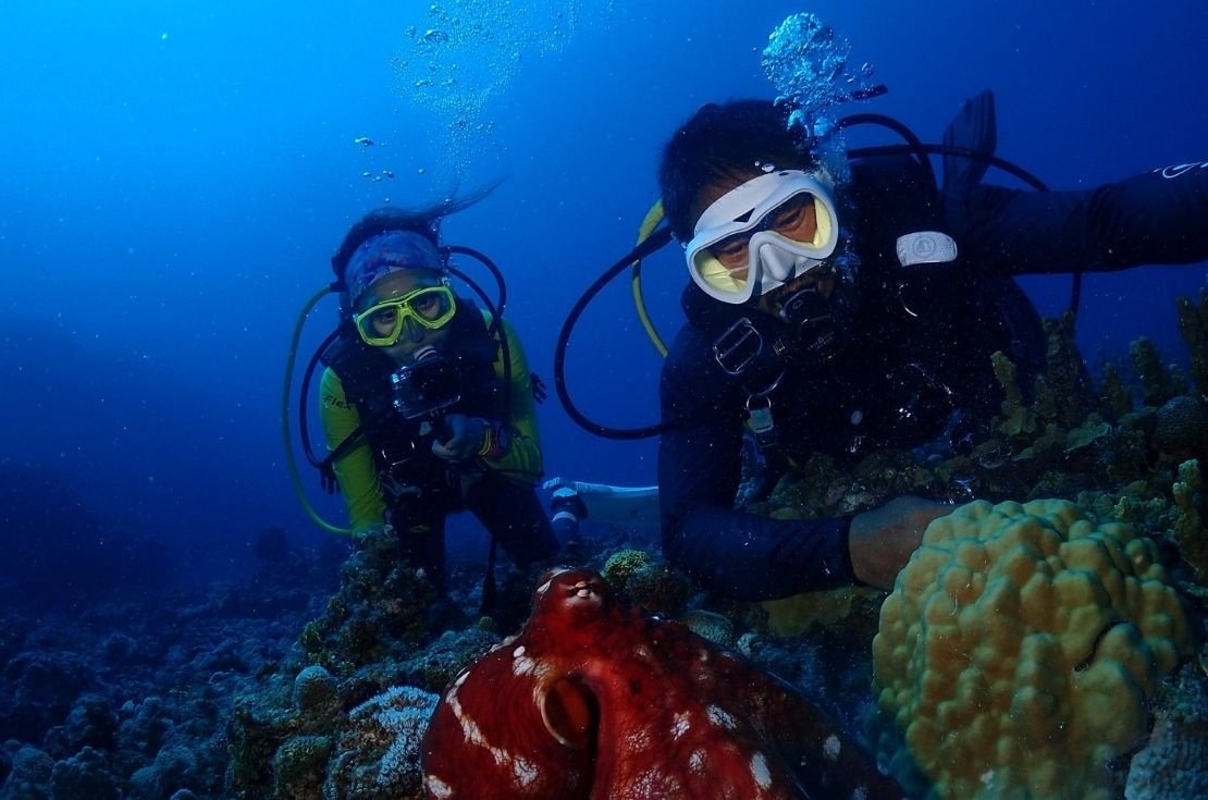 Scuba diving antalya