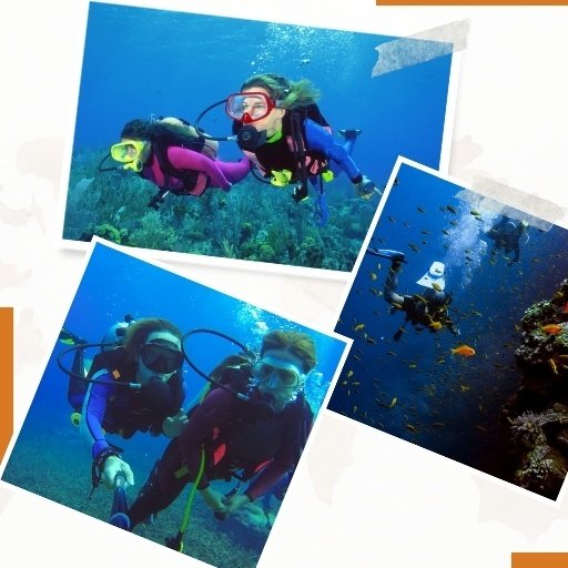Scuba Diving Tour Price