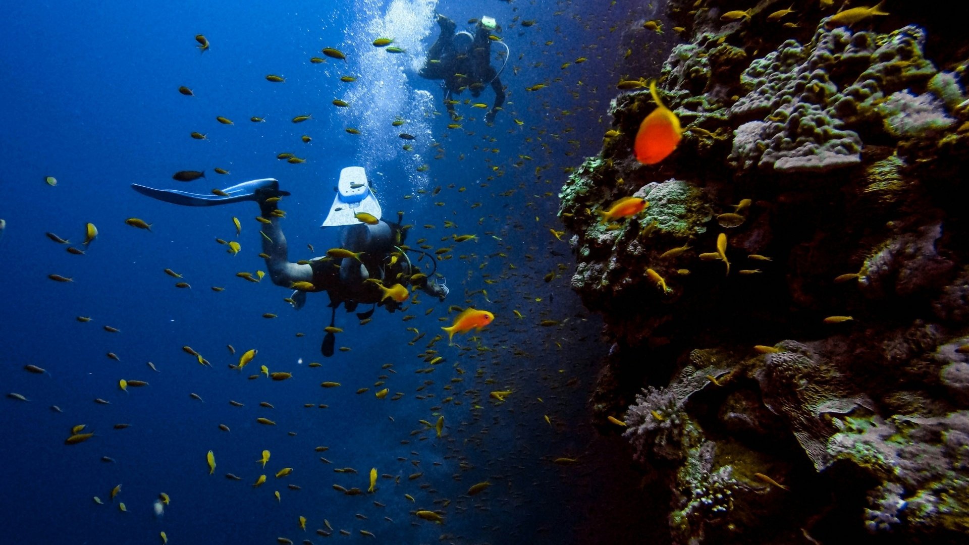 Scuba Di̇vi̇ng 5