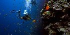 Scuba Di̇vi̇ng 5