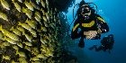 Scuba Di̇vi̇ng 2