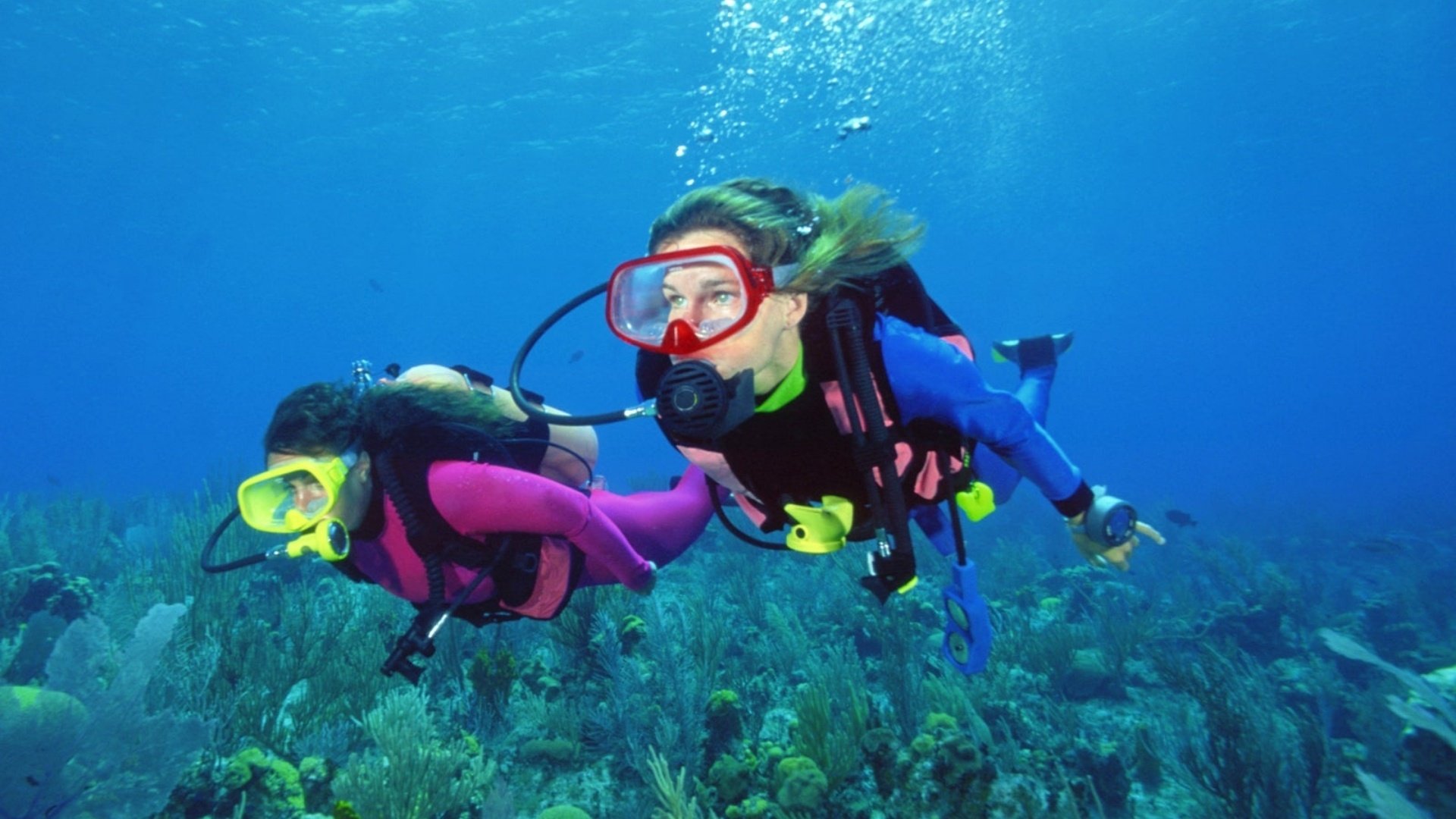 Scuba Di̇vi̇ng 1