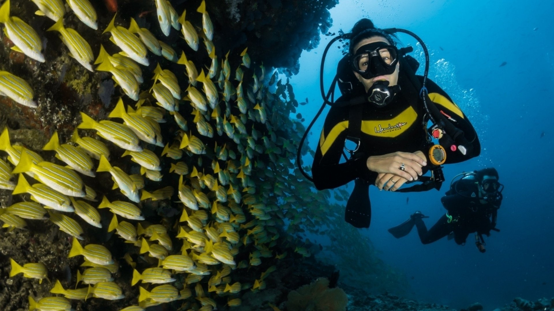 Scuba Di̇vi̇ng 2