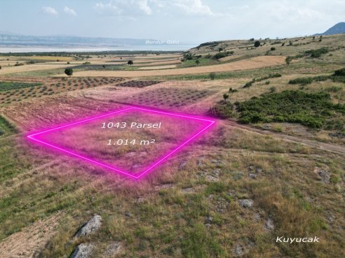 DJI_0030 (0;00;00;00)