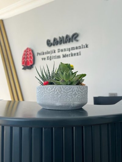 Bahar Psychological Counseling and Training Center