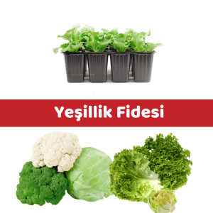 yeşillik