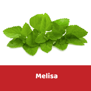 melisa