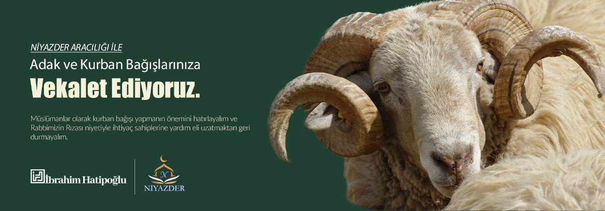 slider_kurban copy