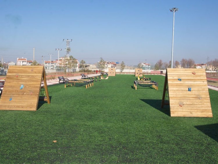 Survivor Macera Parkı 2