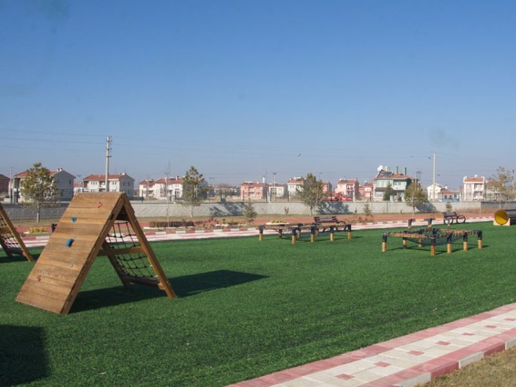 Survivor Macera Parkı 5