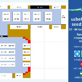 Yerleşim Planı Eng